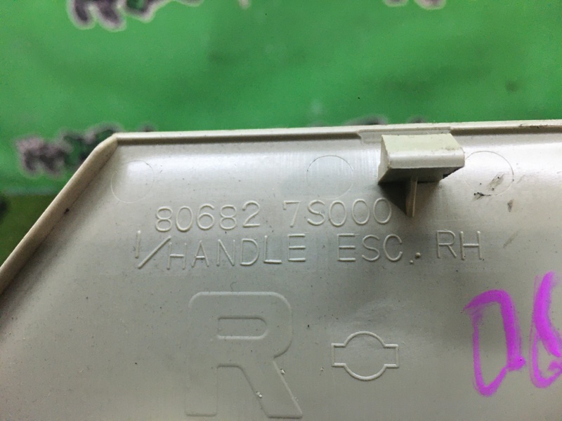 Заглушка ручки внутренней задняя правая Infiniti QX56 JA60 VK56DE