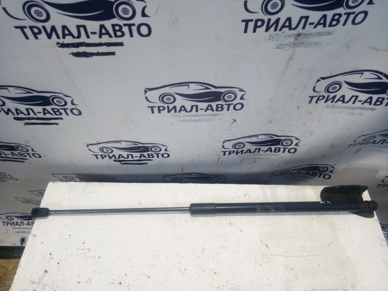 Амортизатор багажника Ford Focus 2010-2018 3 Хэтчбек 16L Duratec Ti-VCT (123PS) АКПП 1718369 контрактная