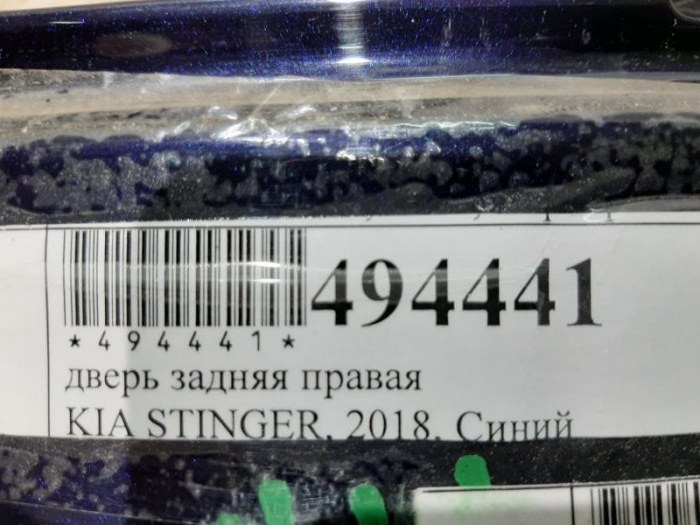 Дверь боковая задняя правая Stinger 2018 CK