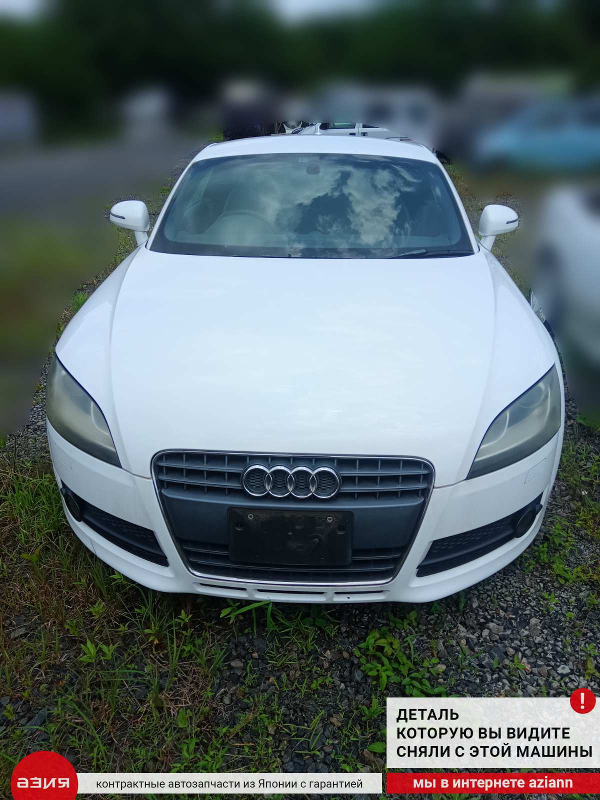 Спойлер Audi TT 2008 8J BWA (2.0t) 8J0827934 id110939 запчасть контрактная  купить в Нижнем Новгороде, цена 9900₽