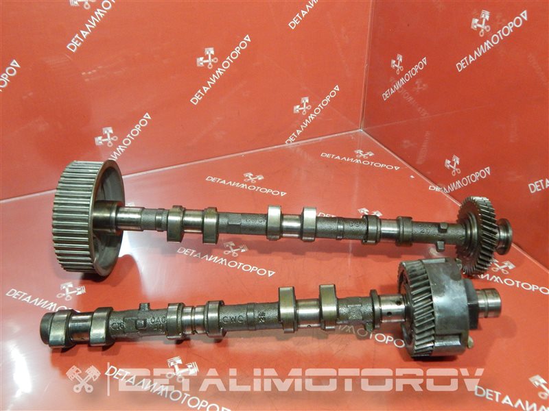 Головка блока цилиндров правая Alphard CBA-MNH10W 1MZ-FE