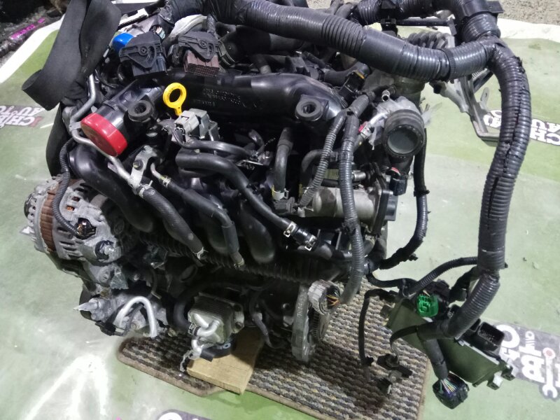 Двигатель JUKE NF15 MR16DDT