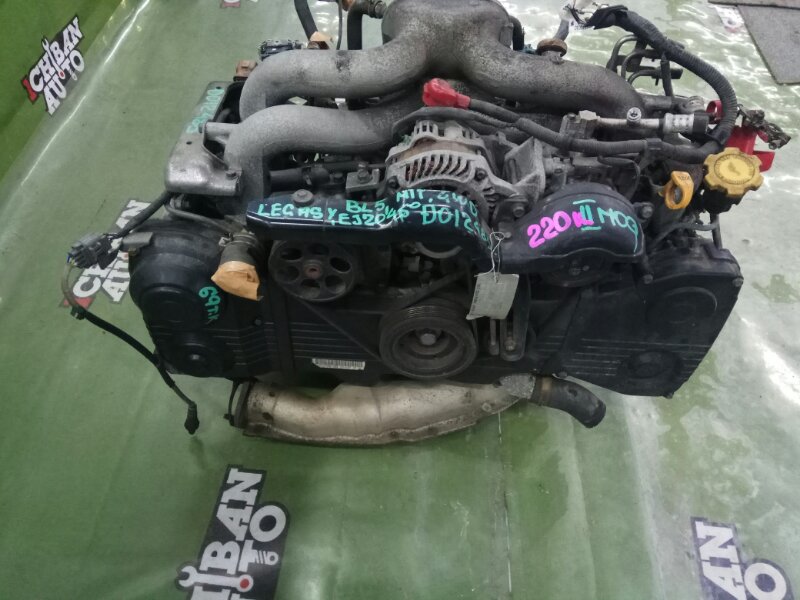 Двигатель SUBARU LEGACY BL5 EJ204