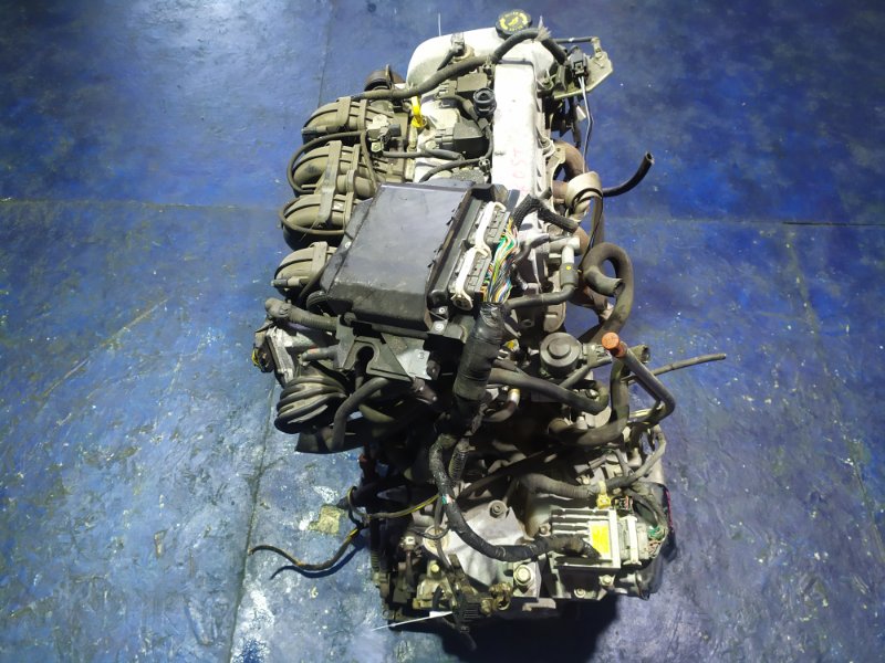 Двигатель BIANTE 2009 CCEFW LF-VDS