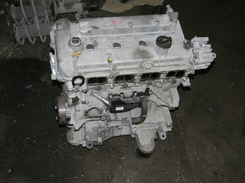 Двигатель PREMACY 2011 CWEFW LF-VDS