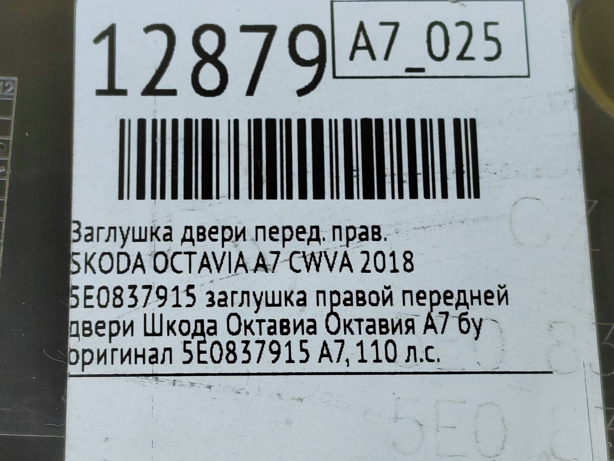 Заглушка двери передняя правая Octavia 2018 A7 CWVA