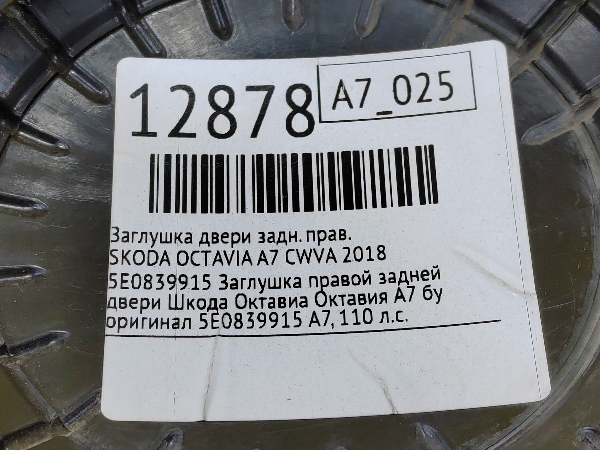 Заглушка двери задняя правая Octavia 2018 A7 CWVA