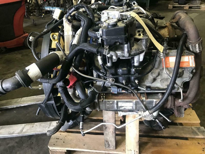 Двигатель Ford F250 6.4 L Powerstroke V8 контрактная