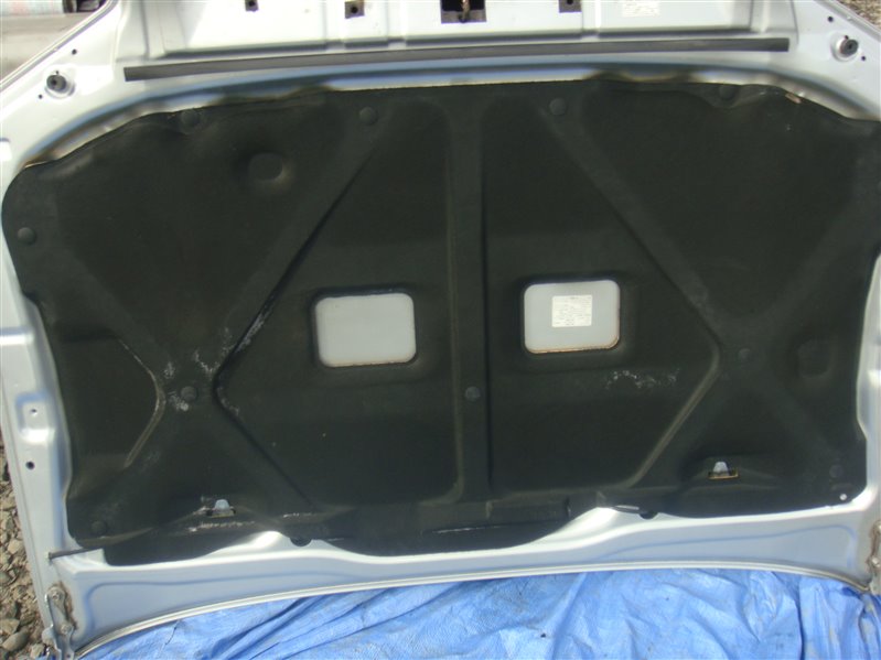 Капот Hilux Surf 2006 GRN215 1GR