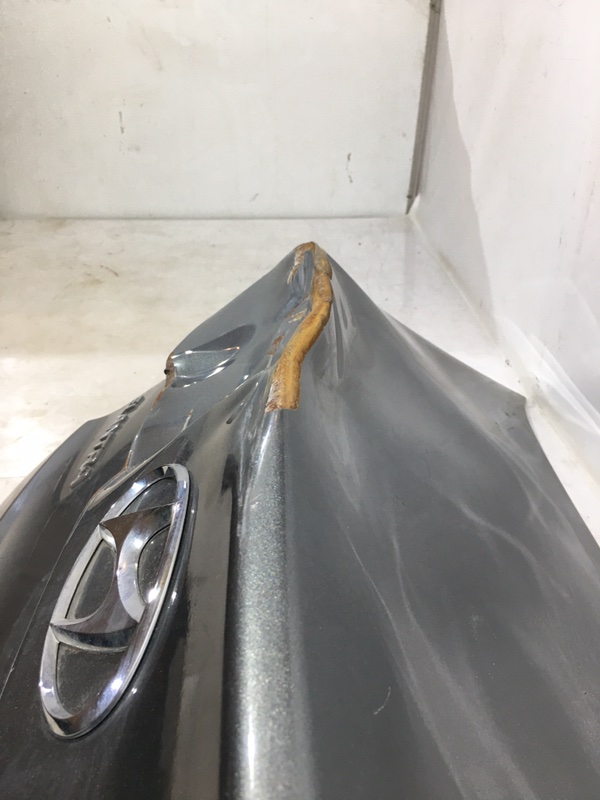 Крышка багажника задняя Elantra 2015-2019 6