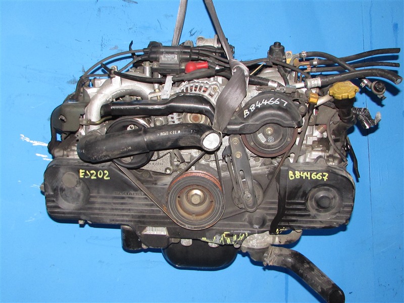 Двигатель SUBARU FORESTER SG5 EJ202 контрактная