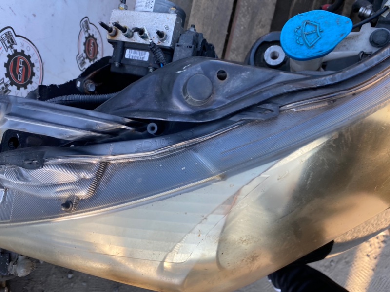 Nose cut FREED GB3 L15A