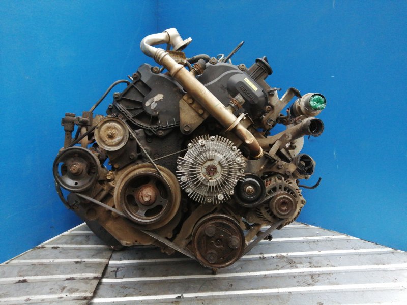 Контрактные двигатели Nissan Pathfinder III (R51M)