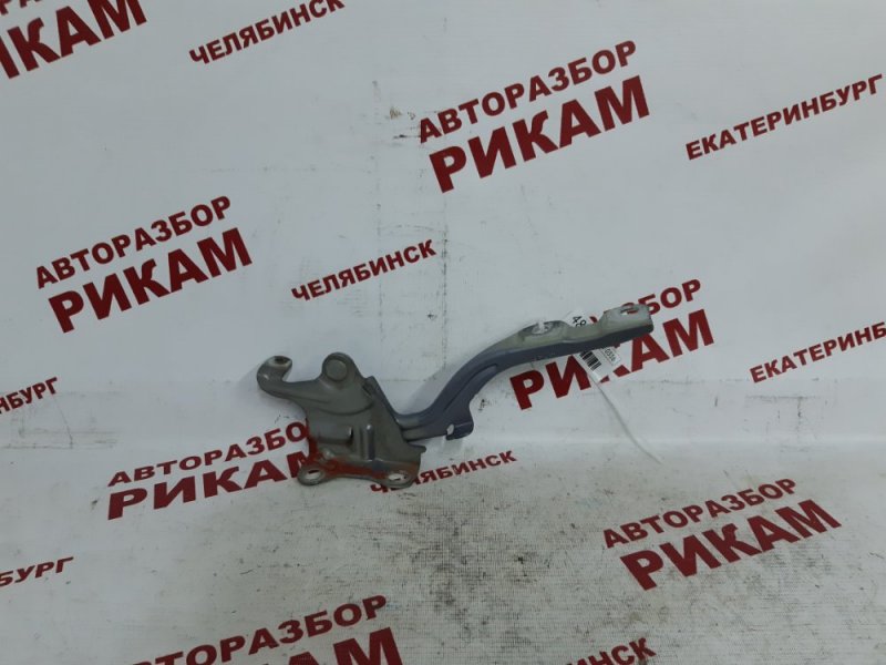 Петля капота правая CERATO 2009 TD G4KD