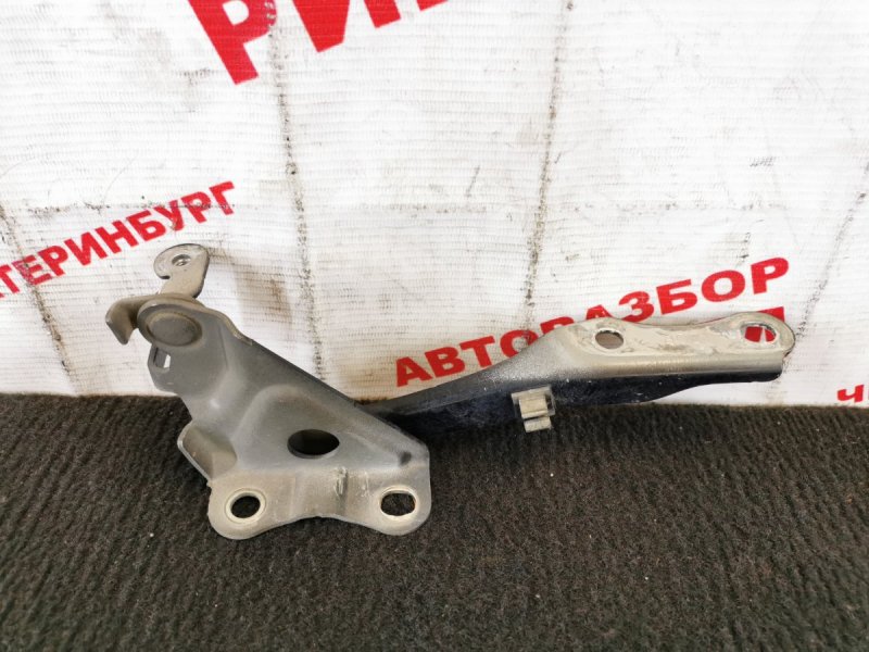 Петля капота правая TOYOTA RAV4 2006 ACA31 2AZ-FE 53410-42060 контрактная