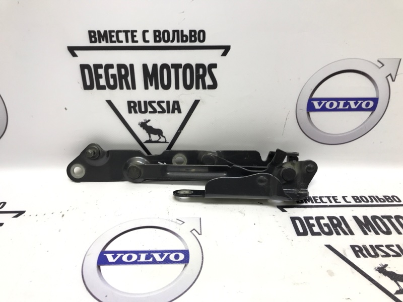 Петля багажника задняя правая Volvo S80 2008 AS60 D5244T4 30799275 контрактная