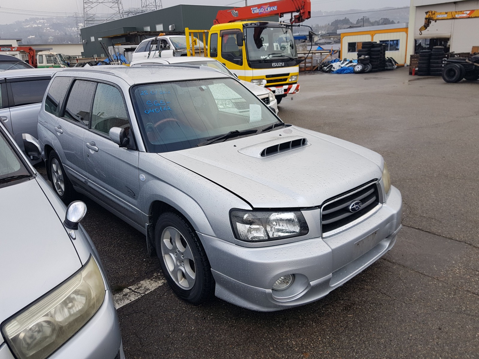 Forester 6