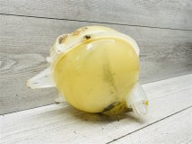 Бачок расширительный Chery Tiggo 7 Pro Max 2022-2024 1.5 SQRE4T15C