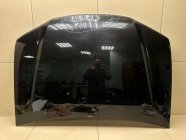 Капот Nissan TERRANO D10 2016