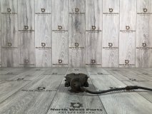 Суппорт правый передний Skoda Octavia A5 2012 1.4 CAXA