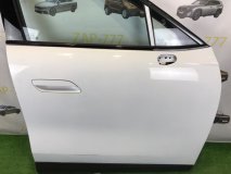 Дверь правая передняя OMODA C7 T1GC
