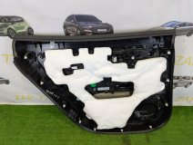 Обшивка двери правая задняя ZEEKR 001 DC1E Обшивка двери правая задняя ZEEKR 001 DC1E