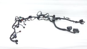 Проводка двигателя Hyundai Staria US4 2021 D4HB