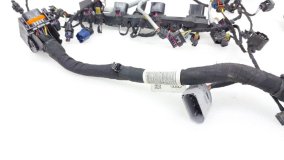 Проводка двигателя Volkswagen Teramont CA1 2024 DTJ