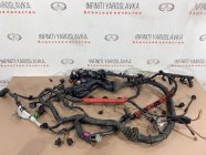 Проводка двигателя AUDI A4 B8 8K2 2009 3.2 CAL