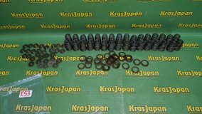 Пружина клапана BMW X5 4.4i E53 2000 M62 B44