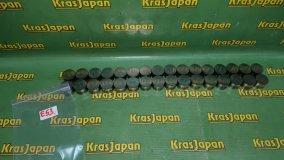 Гидрокомпенсатор BMW X5 4.4i E53 2000 M62 B44