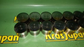 Гидрокомпенсатор BMW X5 4.4i E53 2000 M62 B44