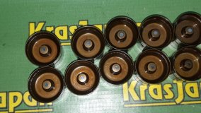 Гидрокомпенсатор BMW X5 4.4i E53 2000 M62 B44