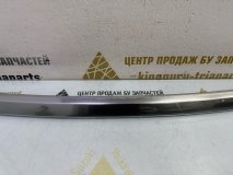 Молдинг решетки радиатора Omoda C5 T19C 2022-2024 Молдинг решетки радиатора Omoda C5 T19C 2022-2024