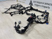 Проводка моторного отсека Exeed VX M36T 2021-2024