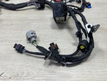 Проводка моторного отсека Exeed VX M36T 2021-2024