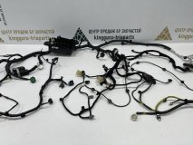 Проводка подкапотная GAC GS8 1 2021-2024