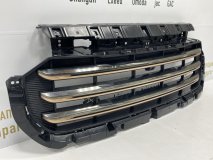 Решетка радиатора Exeed VX T22 2023 - 2024