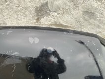 Капот Toyota Land Cruiser 100 2002-2005