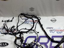 Проводка салона Exeed VX 2023