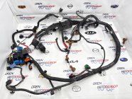 Проводка ДВС Renault Sandero Stepway 2021 1.6 K7M Проводка ДВС Renault Sandero Stepway 2021 1.6 K7M