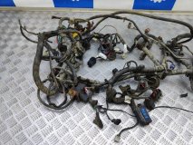 Проводка (коса) подкапотная Chery Amulet A15 2007 1.6 SQR480ED 88 л.с