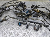 Проводка (коса) подкапотная Honda Fit GD 2002 1.3 L13A 86 л.с