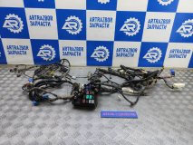 Проводка (коса) подкапотная Honda Civic 8 (4D) FD 2008 1.8 R18A2 140 л.с
