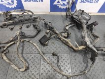 Проводка (коса) подкапотная Kia Rio 3 2013 1.4 G4FA 107 л.с. Седан