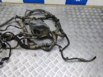 Проводка (коса) подкапотная Hyundai Tiburon GK2 2007 2.0 G4GC 143 л.с