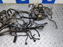 Проводка (коса) подкапотная Chevrolet Rezzo U100 2006 1.6 A16DMS 90 л.с