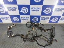 Проводка (коса) подкапотная Pontiac Vibe 2003 1.8 1ZZ-FE (LV6) 130 л.с