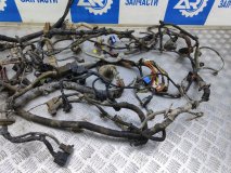 Проводка (коса) подкапотная Hyundai Getz TB 2004 1.3 G4EA 85 л.с