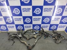 Проводка (коса) подкапотная Honda Civic 8 (4D) FD 2007 1.8 R18A1 140 л.с